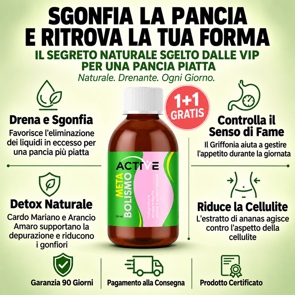 Metabolismo Active